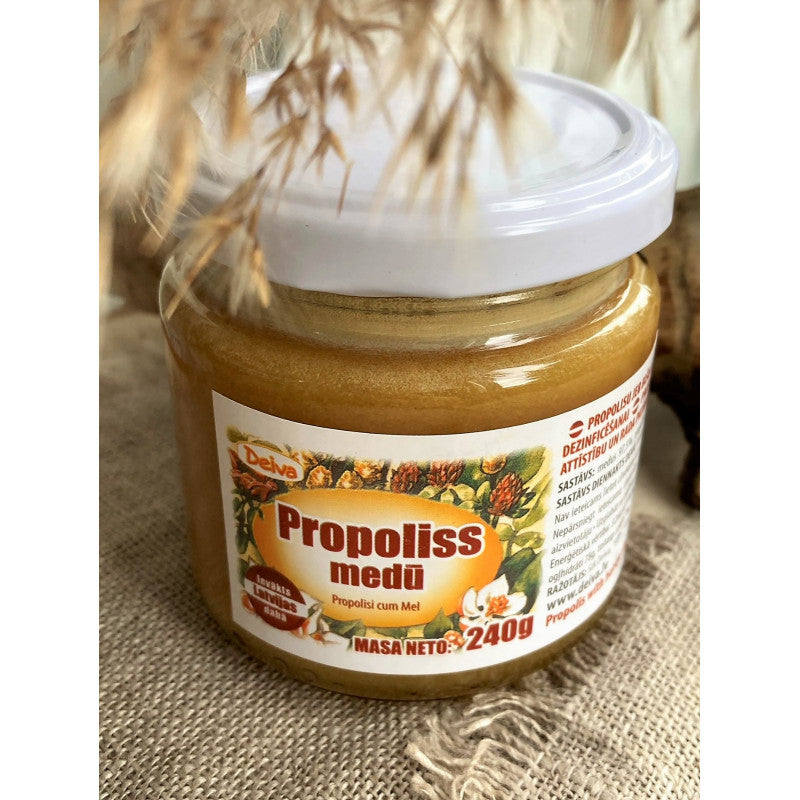 Propoliss medū 240g