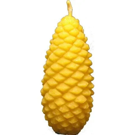 Svece Čiekurs lielais