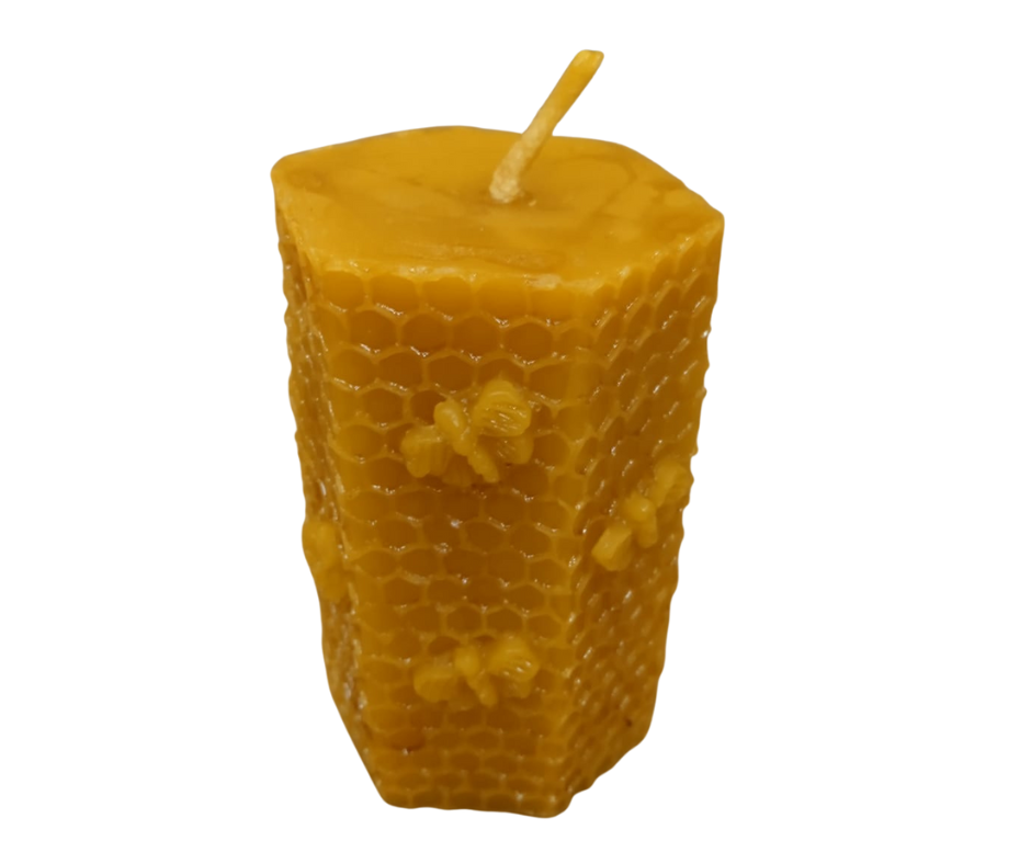 Svece Bišu dārzs (deg~9h.)