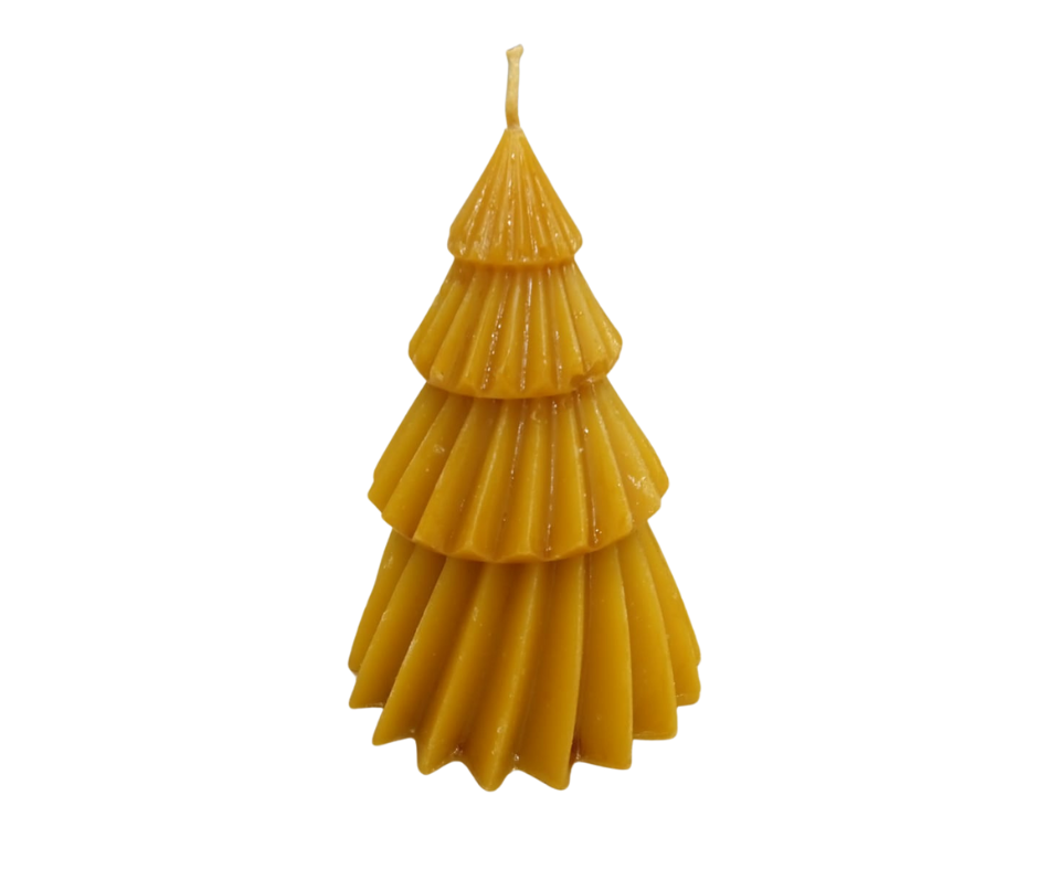 Svece Ziemassvētku eglīte